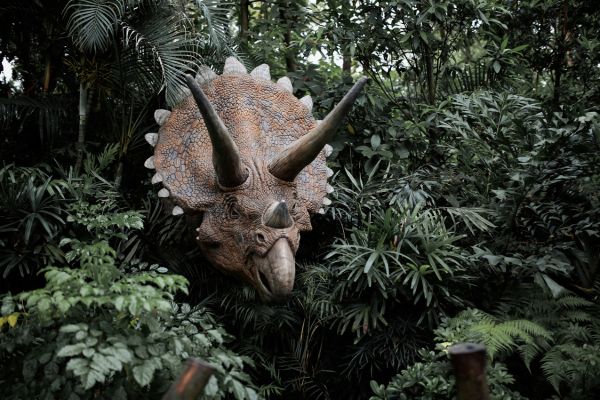 valle dei dinosauri parco del gelso