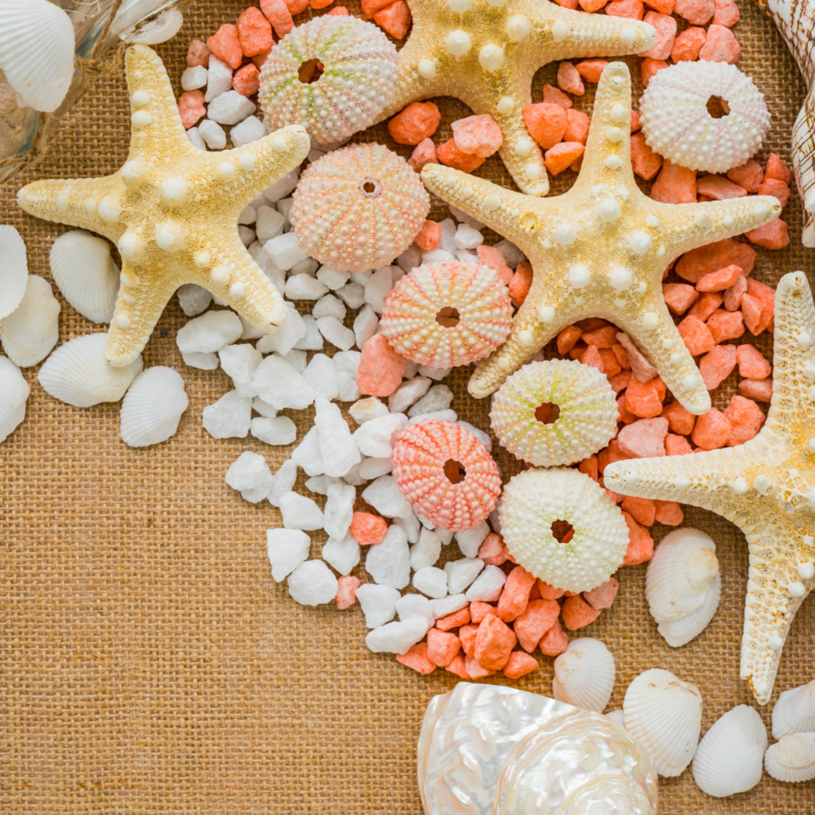 Spiagge per famiglie a Bellaria