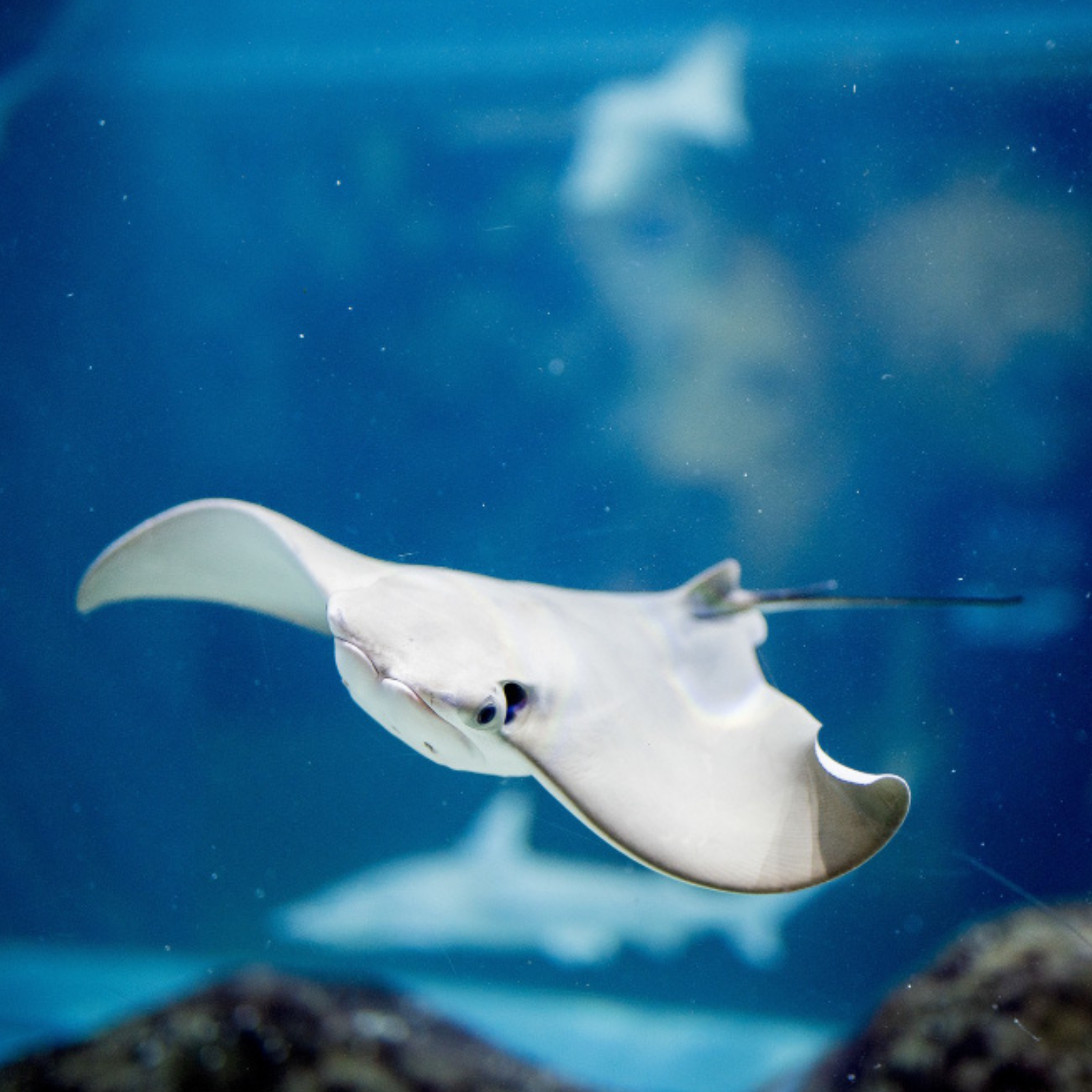 Una giornata all'Oltremare di Riccione